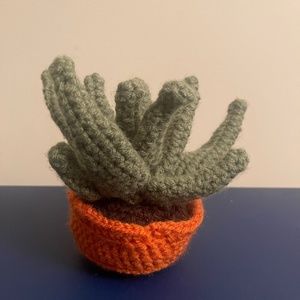 Handmade Knit Succulent